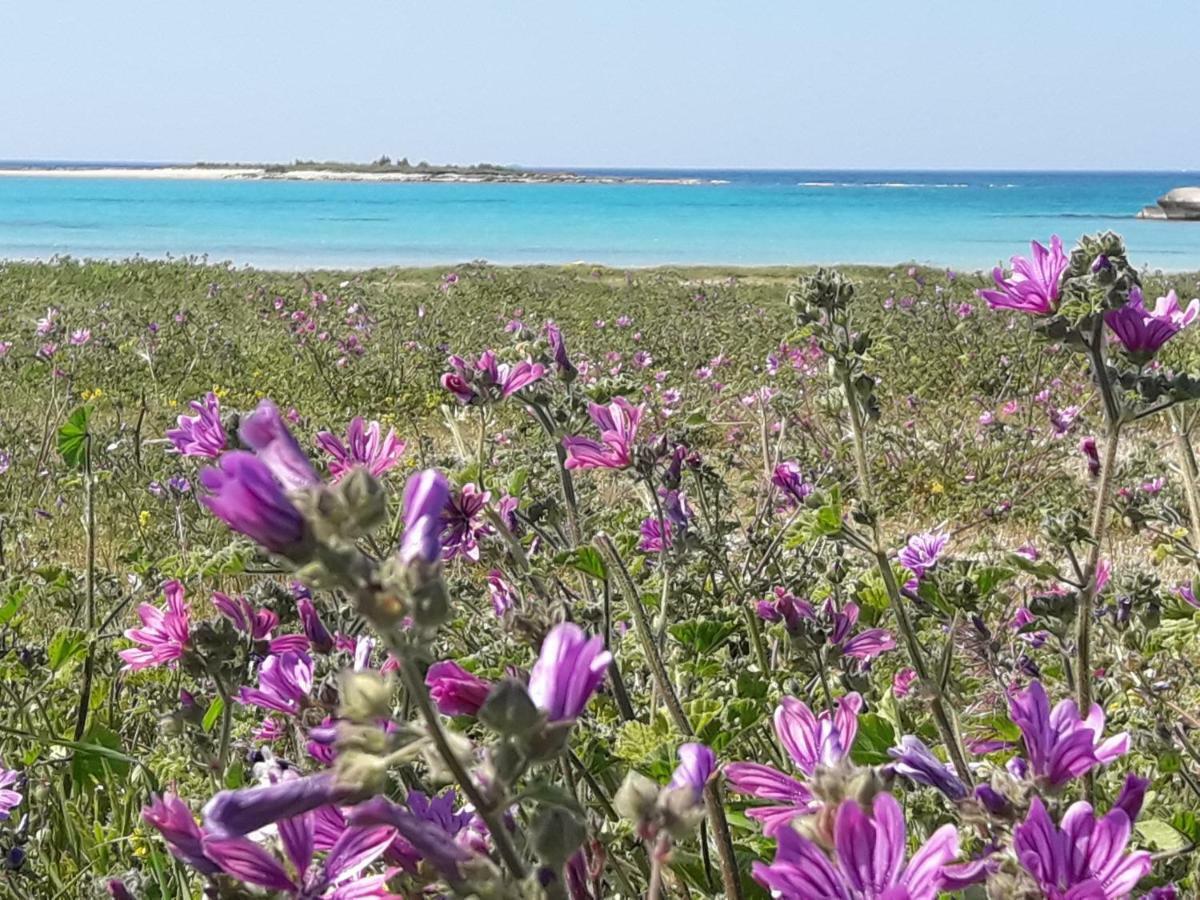 Stella Marina Villa Sant Isidoro  Buitenkant foto
